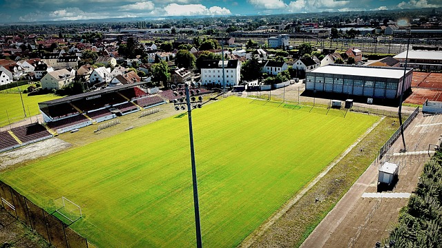 乒文化中 乒文化中