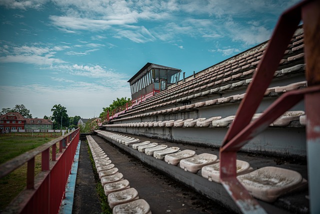表现却备受 表现却备受